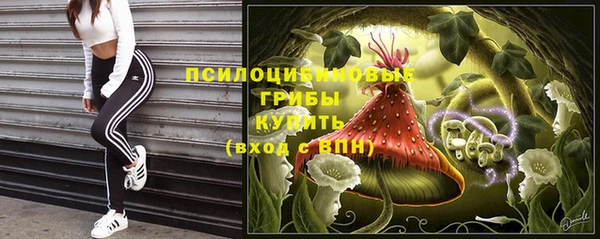 ECSTASY Рославль