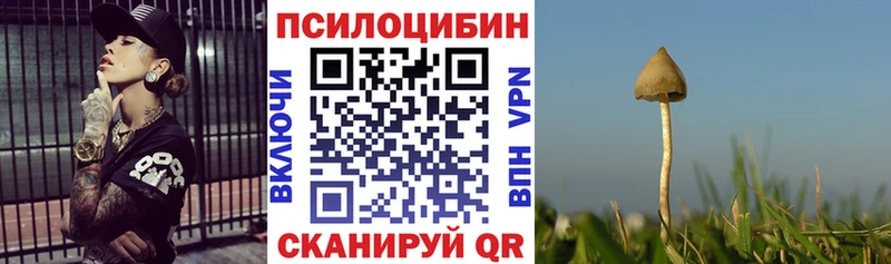 Галлюциногенные грибы Magic Shrooms  где продают   Тында 