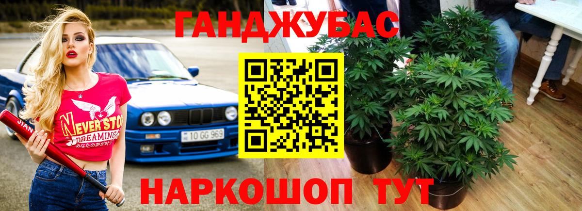 Каннабис план  Вход с VPN  МАРИХУАНА гибрид  Тында 